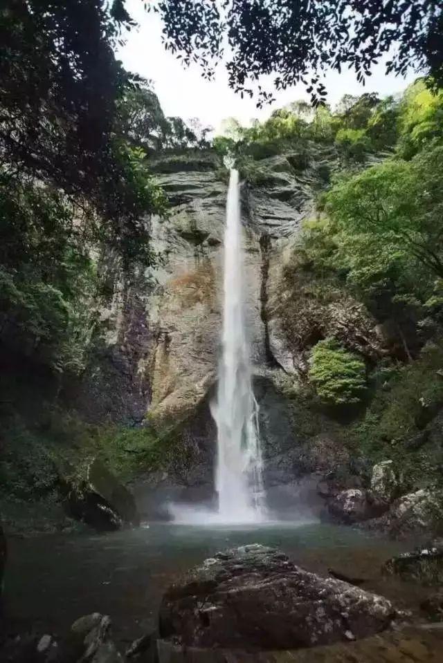 救援可爱的小丑